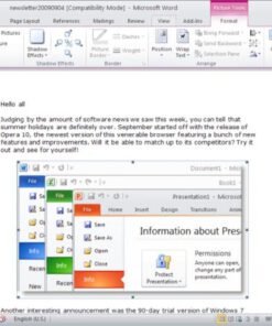 Alternative view of Office Professional 2010 1 PC GLOBAL ของแท้