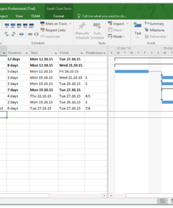 Alternative view of Microsoft Project Professional 2016 ของแท้ 100%
