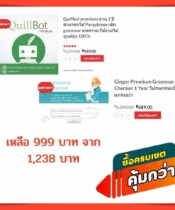 ginger + quillbot