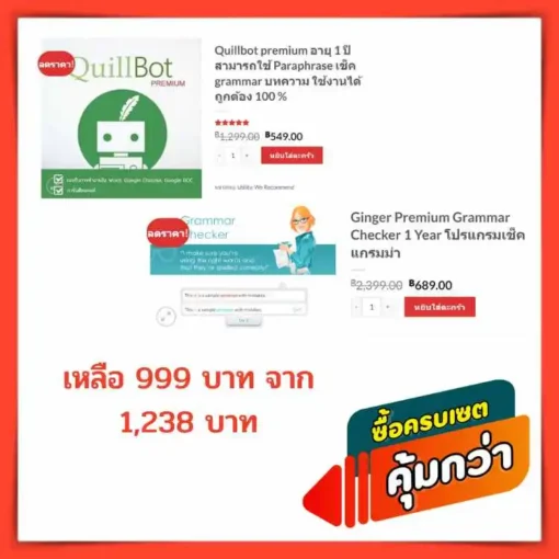 ginger + quillbot