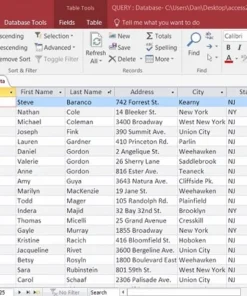 Microsoft Access 2022 ของเเท้