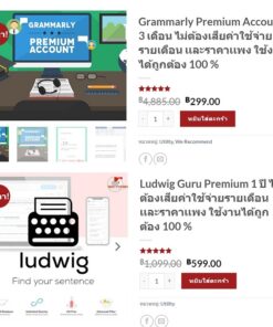 Grammarly Ludwig