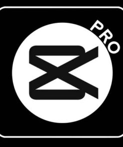 capcut pro 1 ปี