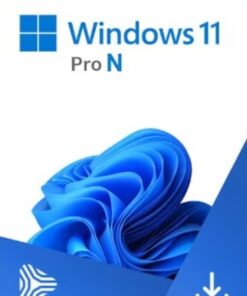 Windows 11 pro N ของเเท้