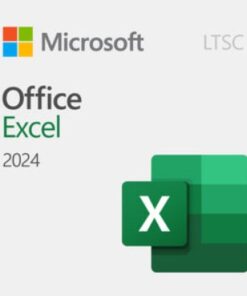 Excel 2024