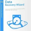 Data Recovery wizard Pro ของเเท้