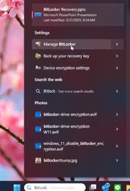 Manage Bitlocker